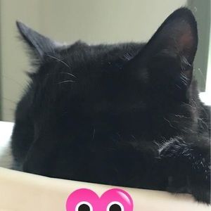 Meet your Posher, Donna